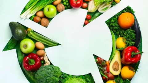 L’économie circulaire appliquée à l’alimentation
